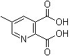 5-甲基吡啶-2,3-二羧酸